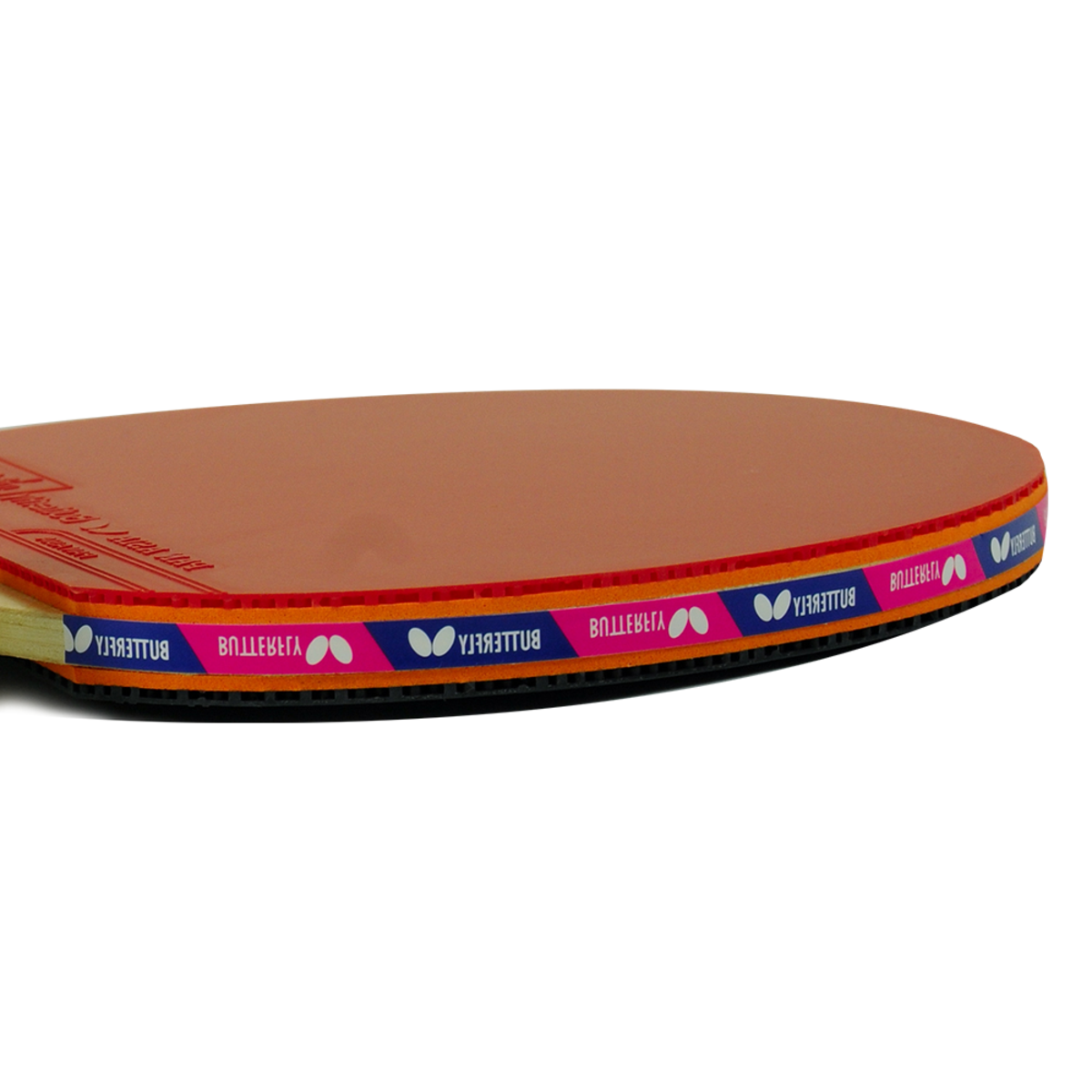 Butterfly Timo Boll 2000 Racket: Side Profile of Top of Racket